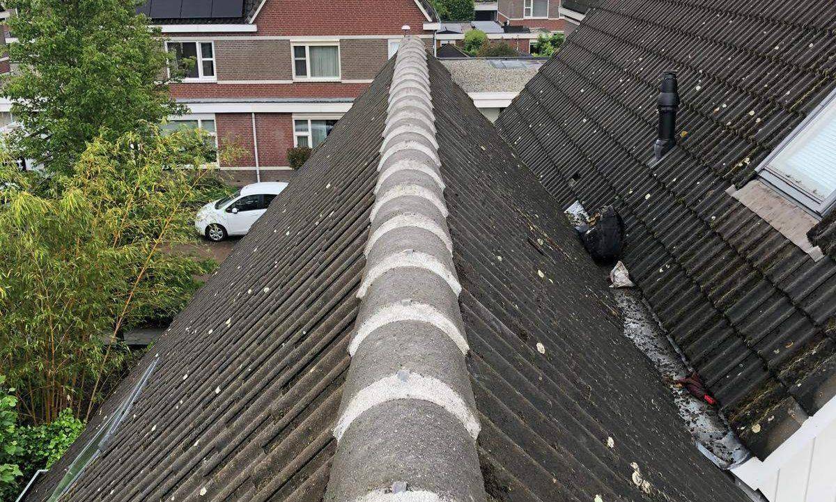 Nokvorsten Woerden